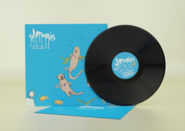 What Do We Do Now Vinyl Record