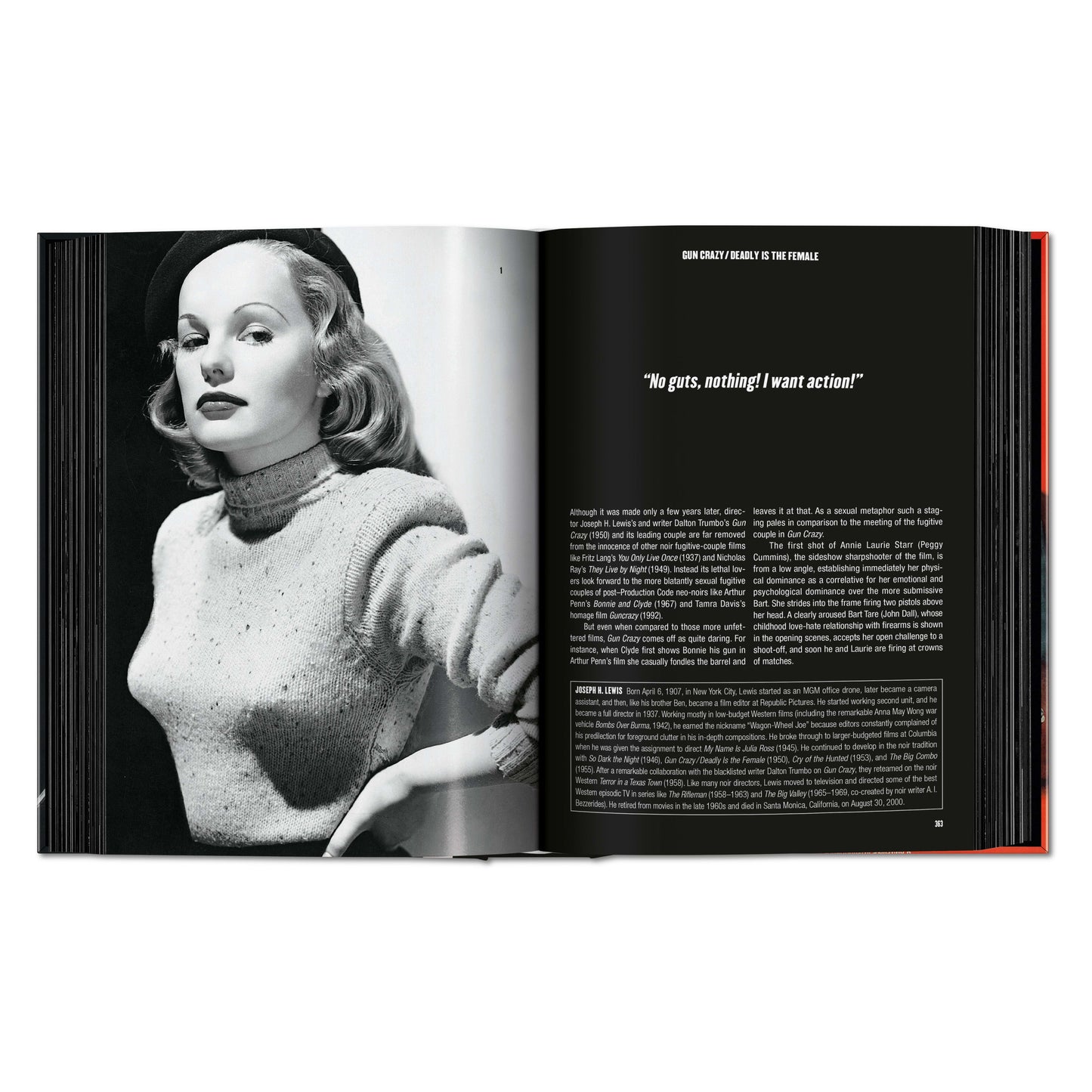 Film Noir. 100 All-Time Favorites (English) Book