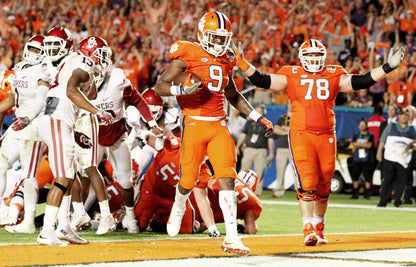 Earning the Stripes: Clemson’s 2015 Historic Football Season Book