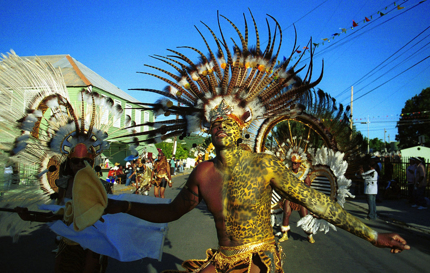 Portraits of Paradise Book