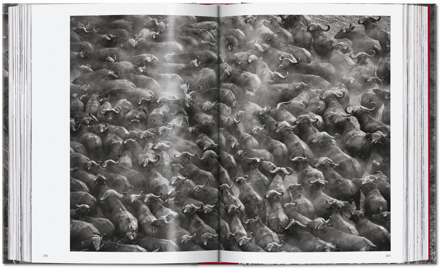 Sebastião Salgado. Genesis. 45th Ed. (English) Book