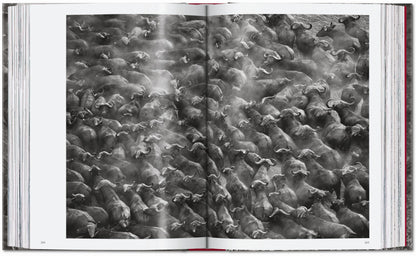 Sebastião Salgado. Genesis. 45th Ed. (English) Book