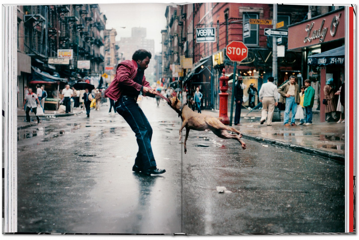 New York. Portrait of a City (English) Book