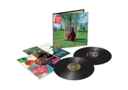 Syd Barrett - An Introduction To Syd Barrett - LP Vinyl Record