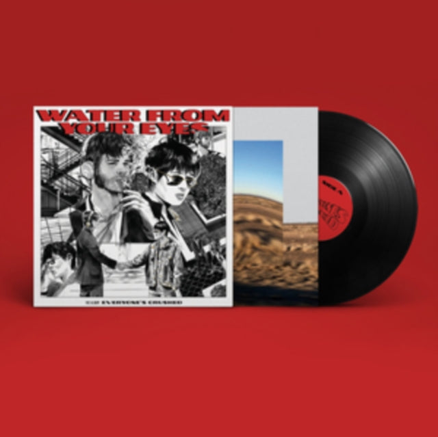Everyone's Crushed Vinyl Record