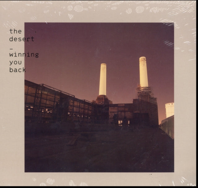 Desert - Winning You Back - 12 Inch Vinyl Record