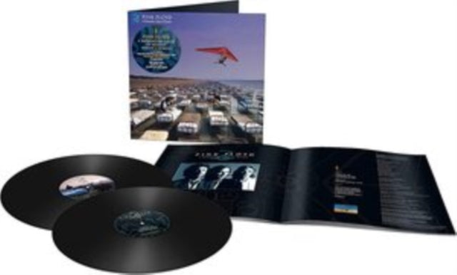 Momentary Lapse Of Reason (Remixed & Updated) (2LP) Vinyl Record