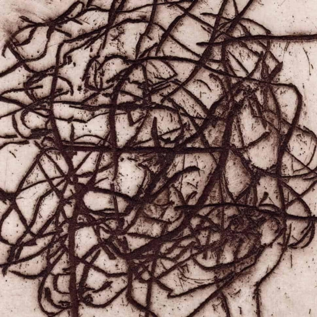 K. Leimer & Marc Barreca - Arrhythmian (2LP) Vinyl Record