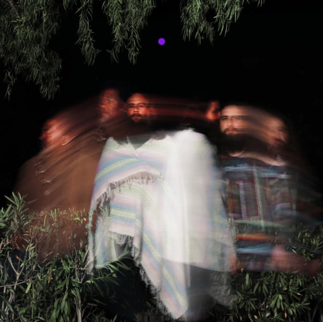 Surya Botofasina; Nate Mercereau; Carlos Nino - Subtle Movements (2LP) Vinyl Record