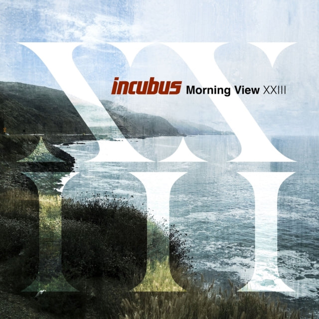 Incubus - Morning View Xxiii - LP Vinyl Record