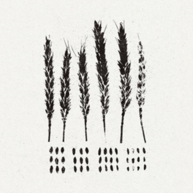Lo! - Gleaners  Music CD