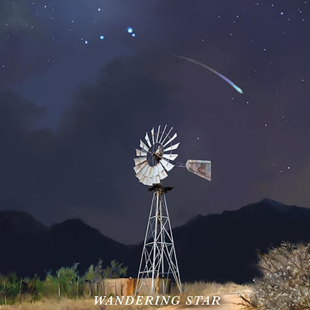 Flatland Cavalry - Wandering Star (Standard Dark Water/Black Swirl LP Vinyl) Vinyl Record