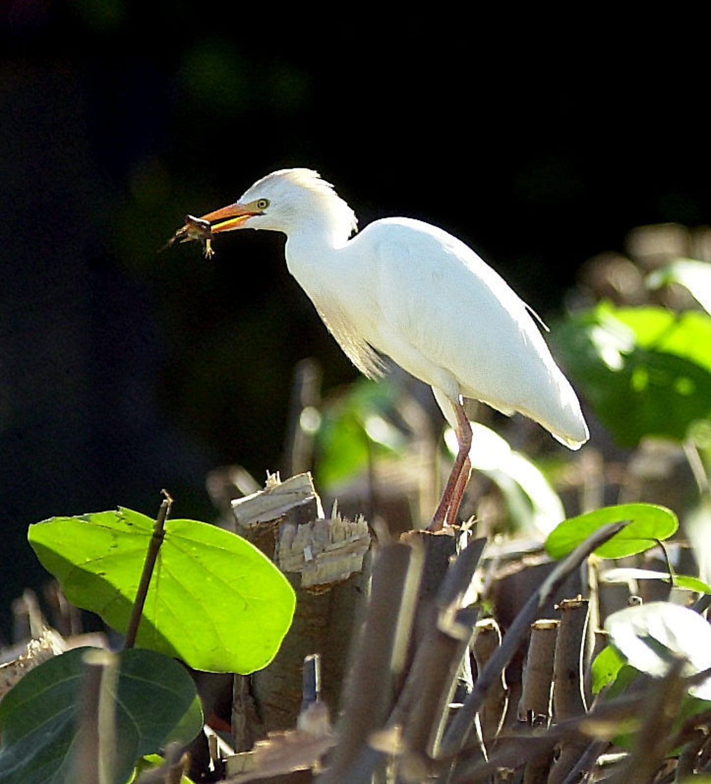 Portraits of Paradise Book