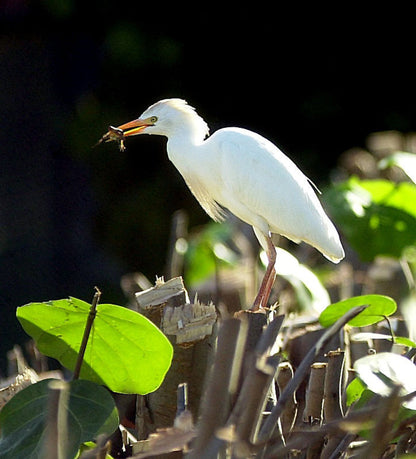 Portraits of Paradise Book