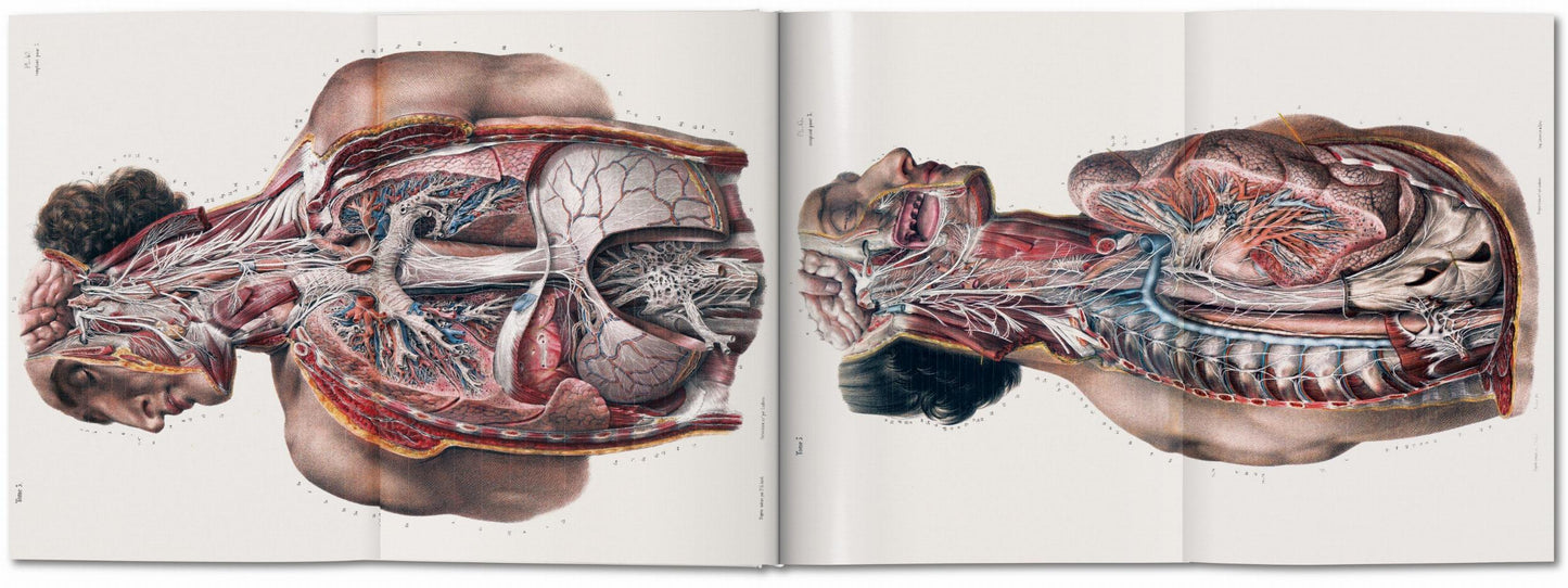 Bourgery. Atlas of Human Anatomy and Surgery (German, French, English) Book