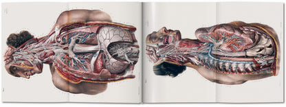 Bourgery. Atlas of Human Anatomy and Surgery (German, French, English) Book