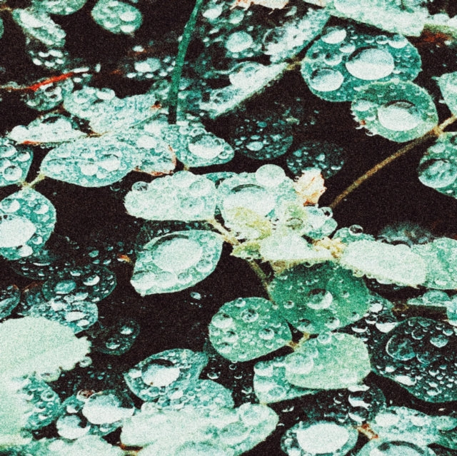 Sadness - Rain Chamber  Music CD