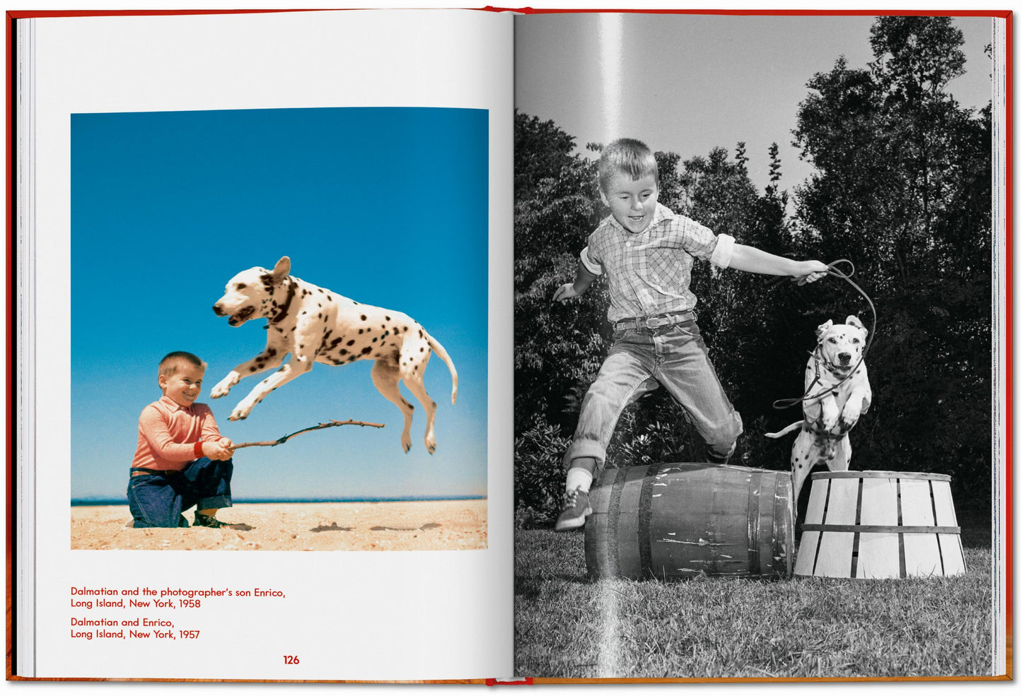 Walter Chandoha. Dogs. Photographs 1941–1991 (English) Book