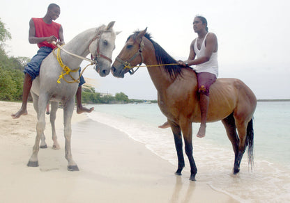 Portraits of Paradise Book