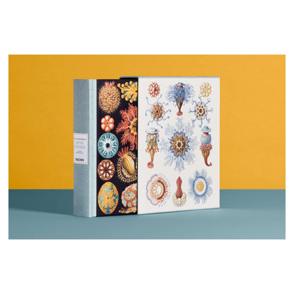 The Art and Science of Ernst Haeckel (German, French, English) Book