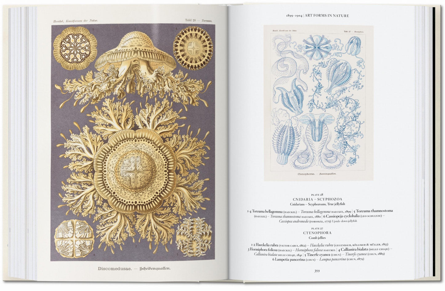 The Art and Science of Ernst Haeckel. 45th Ed. (English) Book