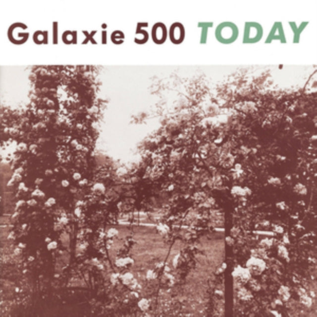 Today Vinyl Record