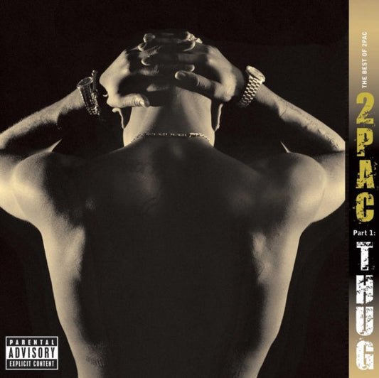 2Pac - Best Of 2Pac - Part 1: Thug (2LP) Vinyl Record