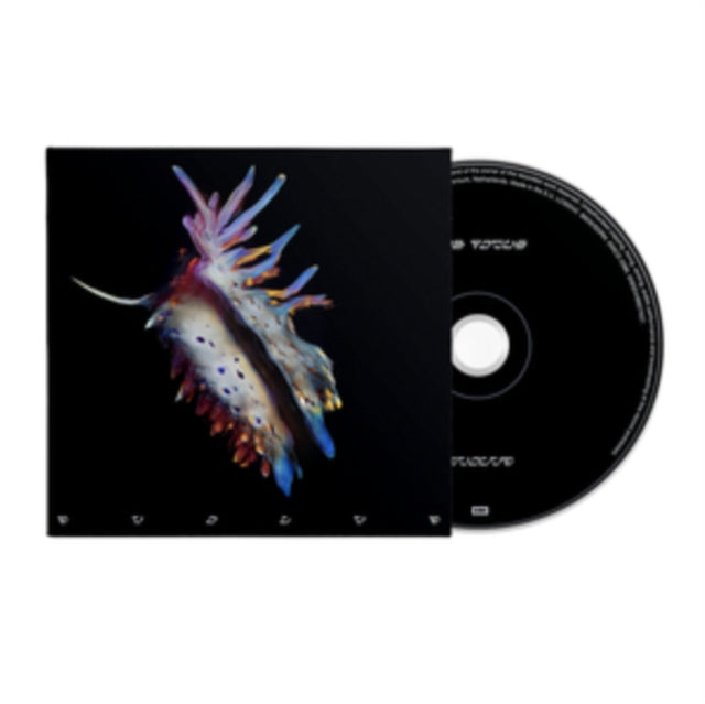 Evolve Music CD