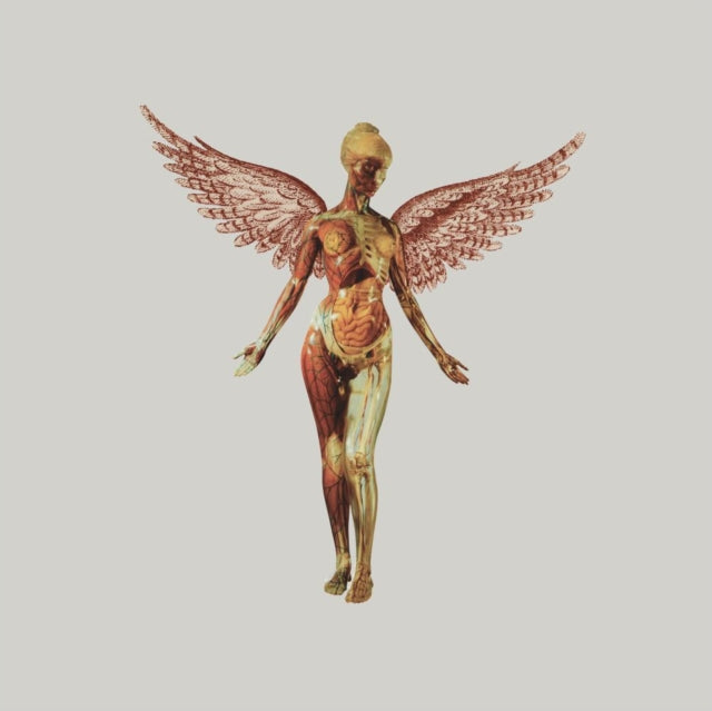 Nirvana - In Utero (30Th Anniversary) (5Music CD)