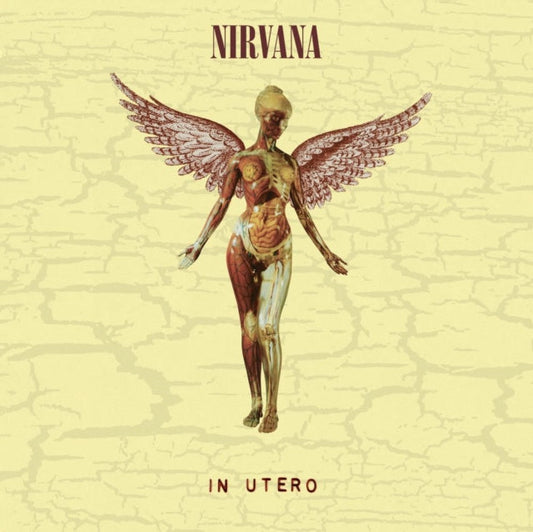 Nirvana - In Utero (30Th Anniversary) (LP/10 Inch) Vinyl Record