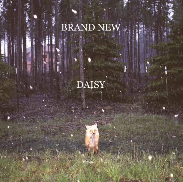 Daisy Vinyl Record