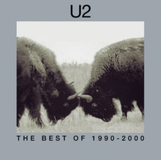 Best Of 1990-2000 (2LP) Vinyl Record