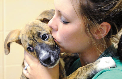 32 Minutes in May: The Joplin Tornado Book