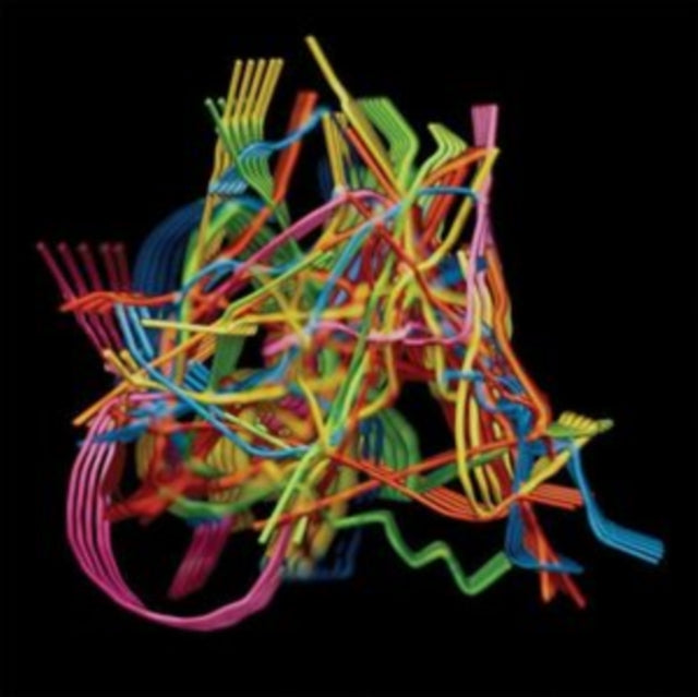 Dustin Wong - Perpetual Morphosis Music CD