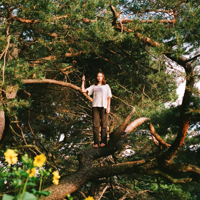 Packs - Melt The Honey (Gold LP Vinyl) Vinyl Record