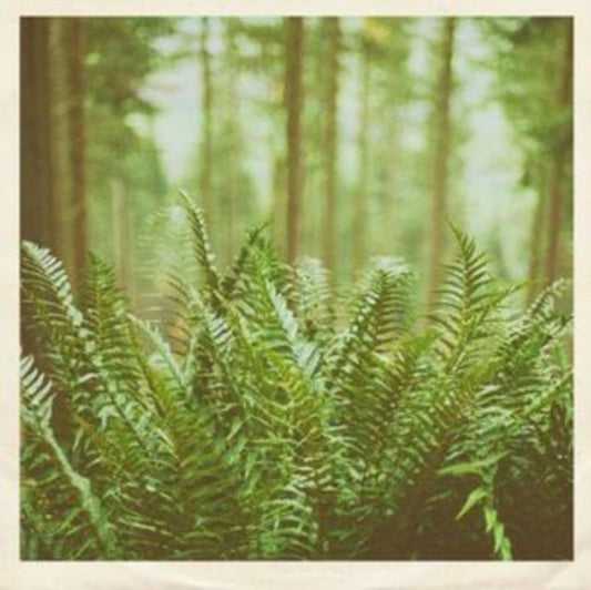 Mtbrd - Just Visiting - 7 Inch Vinyl