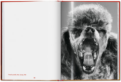 Walter Chandoha. Dogs. Photographs 1941–1991 (English) Book