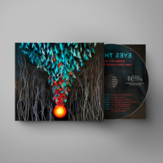 Bright Eyes - Down In The Weeds Where The World Once Was  Music CD