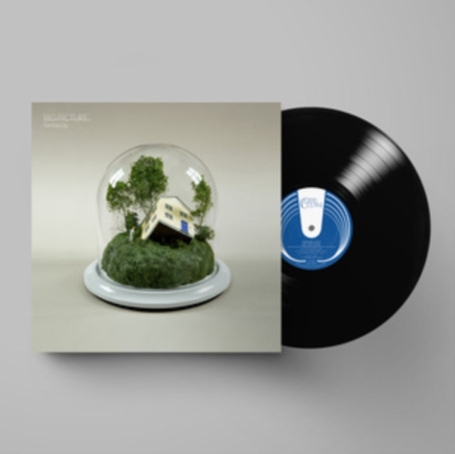 Fenne Lily - Big Picture - LP Vinyl Record
