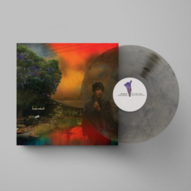 Sharon Van Etten - We've Been Going About This All Wrong (Marbled Smoke LP Vinyl) Vinyl Record