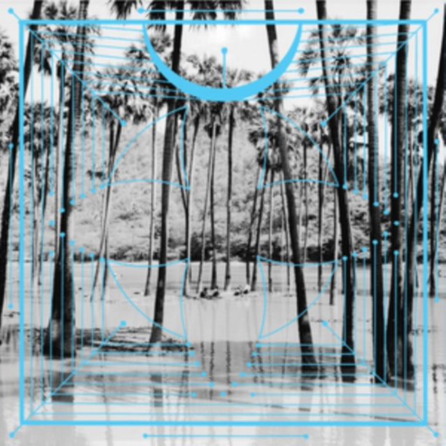 Four Tet - Pink - LP Vinyl Record