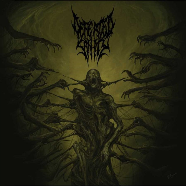 Defeated Sanity - Passages Into Deformity (Picture Disc) - LP Vinyl Record