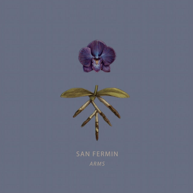 San Fermin - Arms - LP Vinyl Record