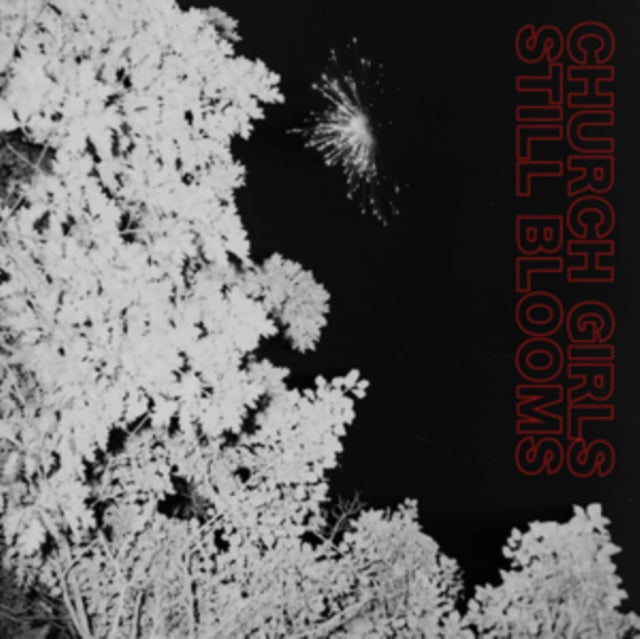 Church Girls - Still Blooms  Music CD