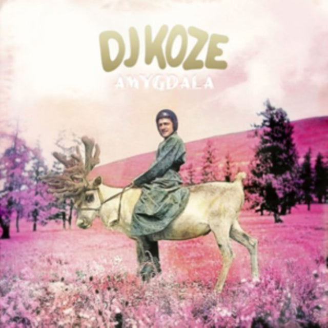 Dj Koze - Amygdala (2LP/Sin) Vinyl Record