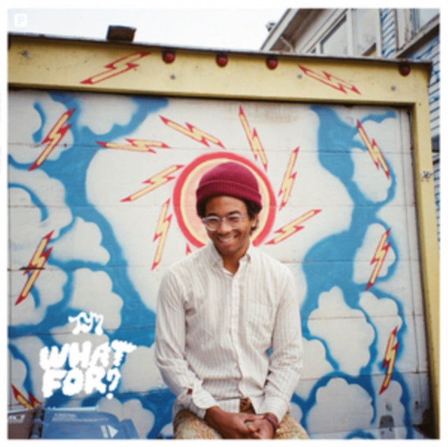Toro Y Moi - What For - LP Vinyl Record