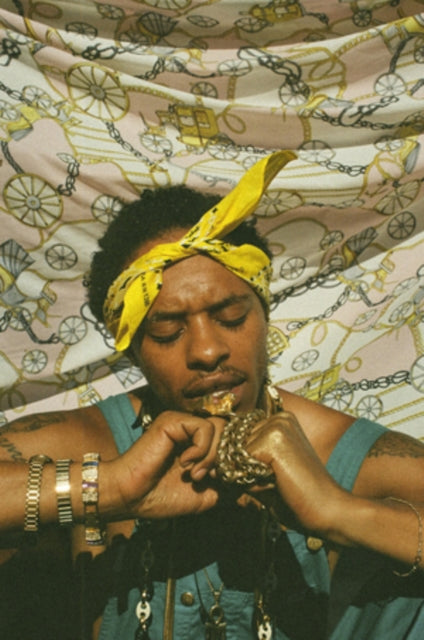 Pink Siifu - Ensley (2LP) Vinyl Record