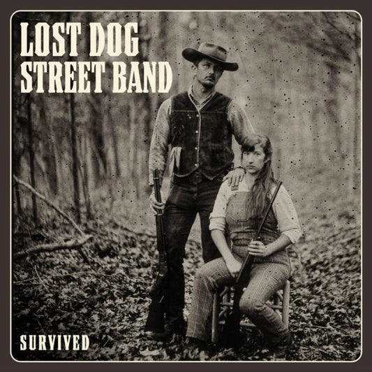Lost Dog Street Band - Survived Music CD