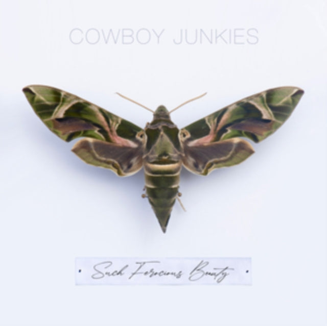 Cowboy Junkies - Such Ferocious Beauty (Translucent Green LP Vinyl) Vinyl Record