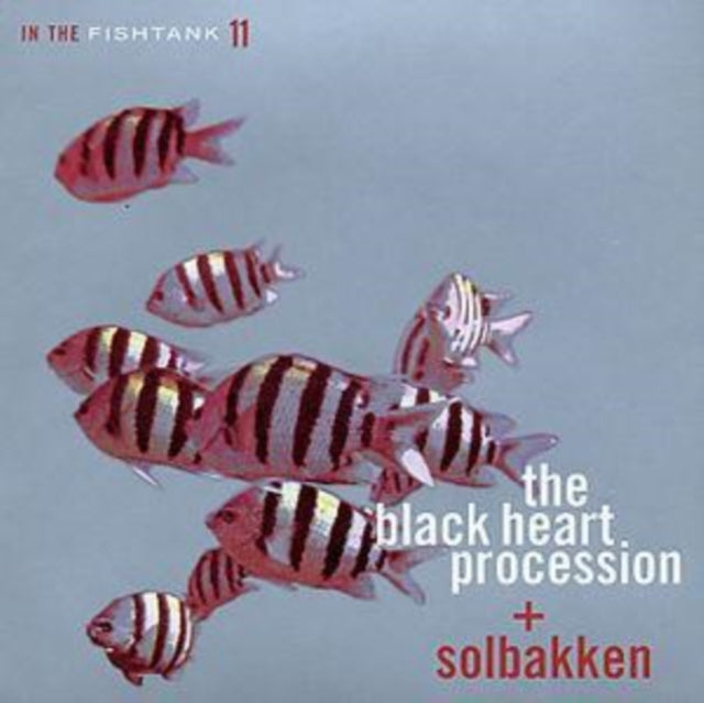 In The Fishtank Music CD